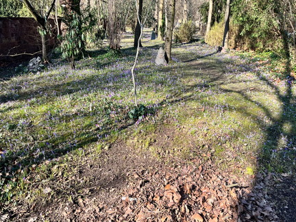 23-02-13 13-01-48 4194